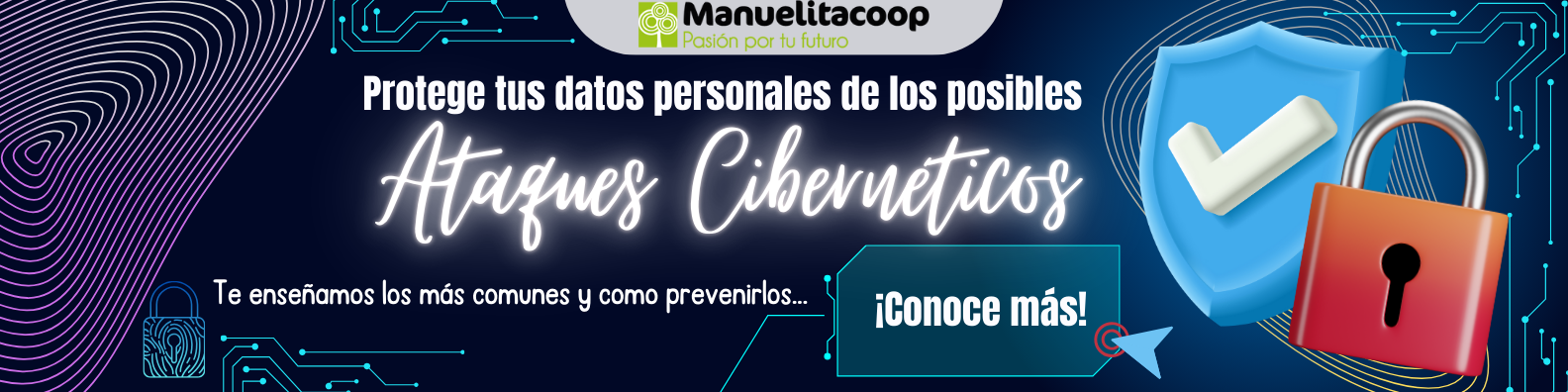Ataques ciberneticos